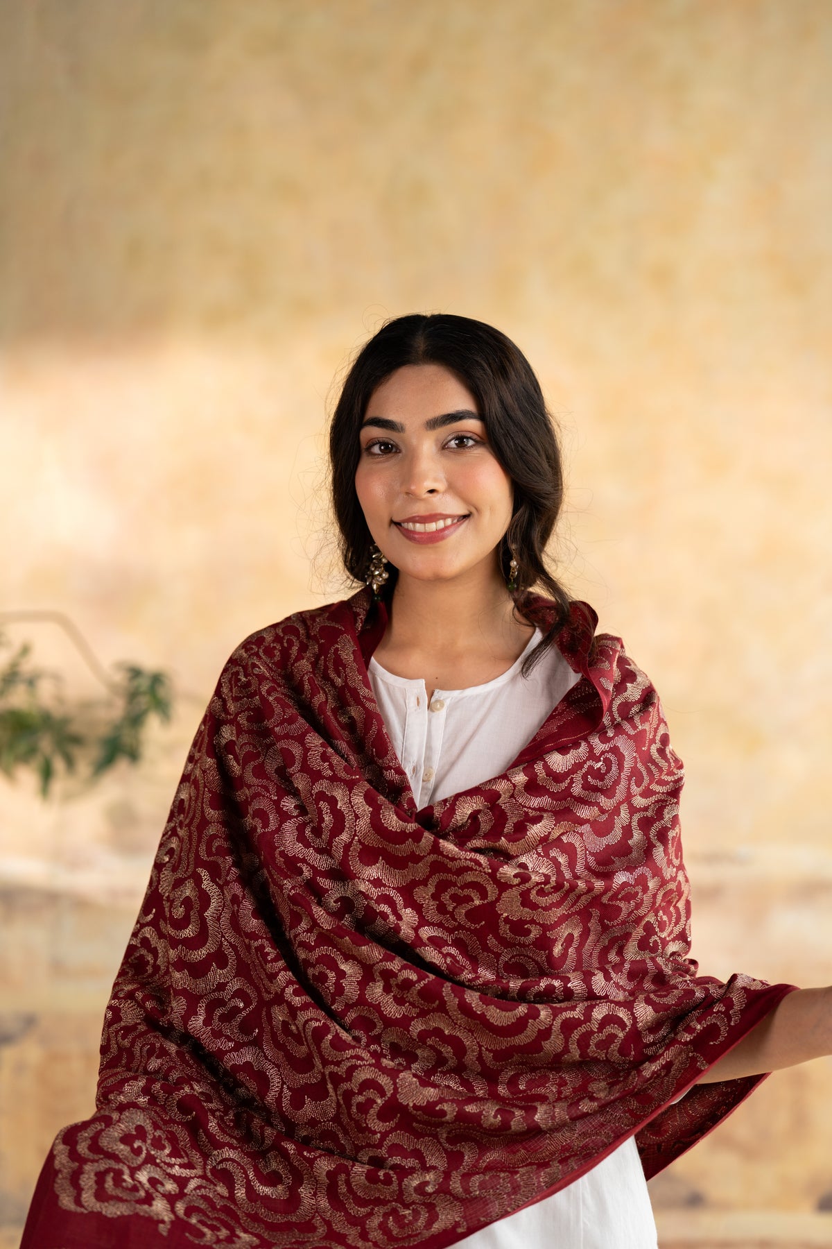 Zari Cloud Embroidered Stole