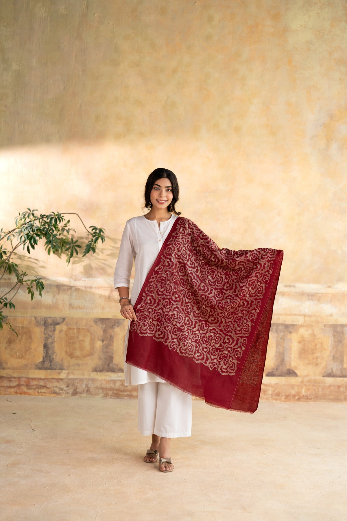 Zari Cloud Embroidered Stole