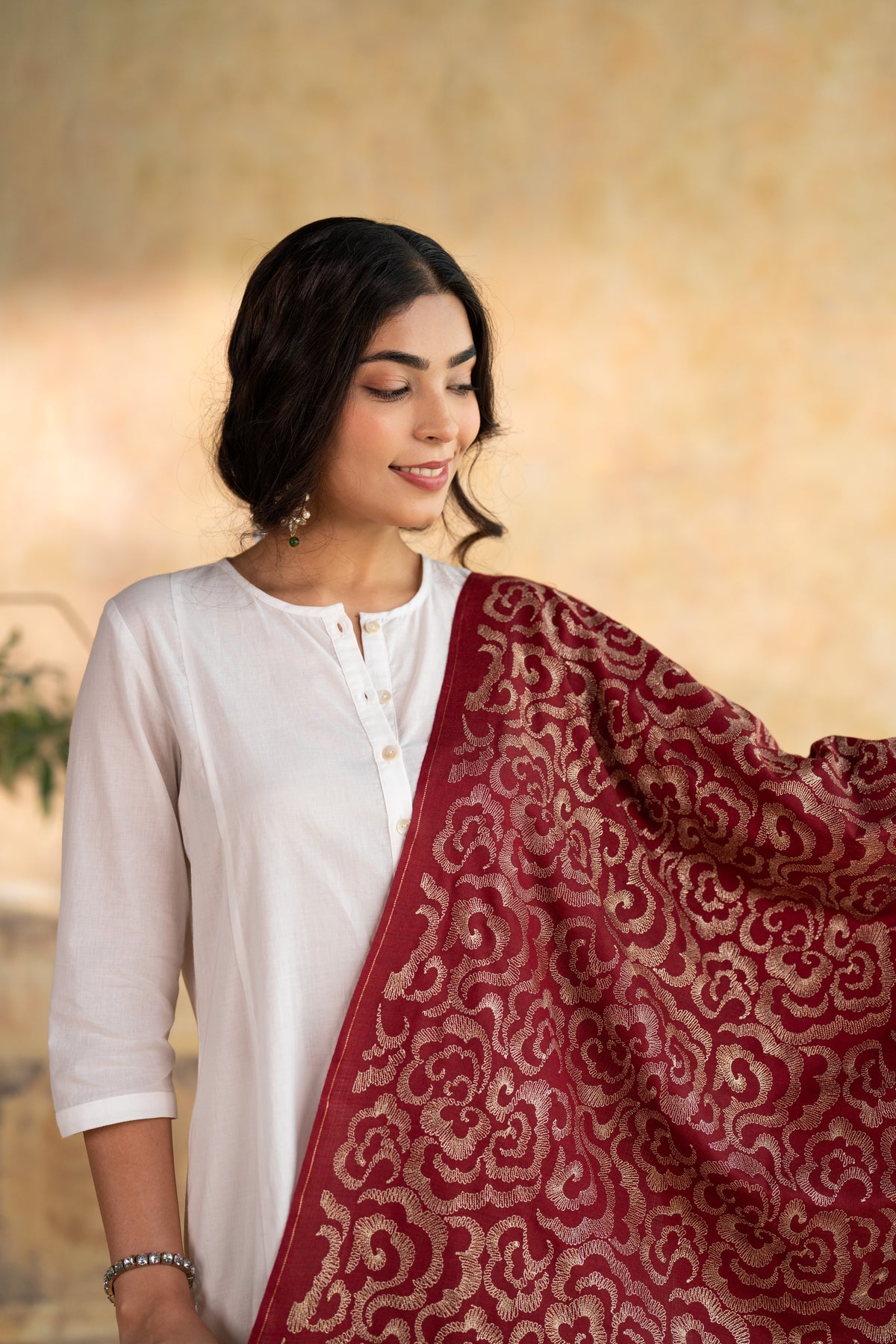 Zari Cloud Embroidered Stole