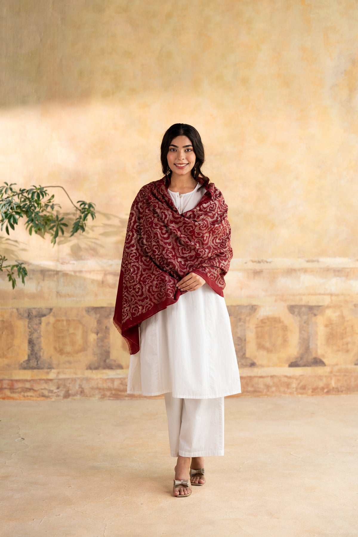 Zari Cloud Embroidered Stole