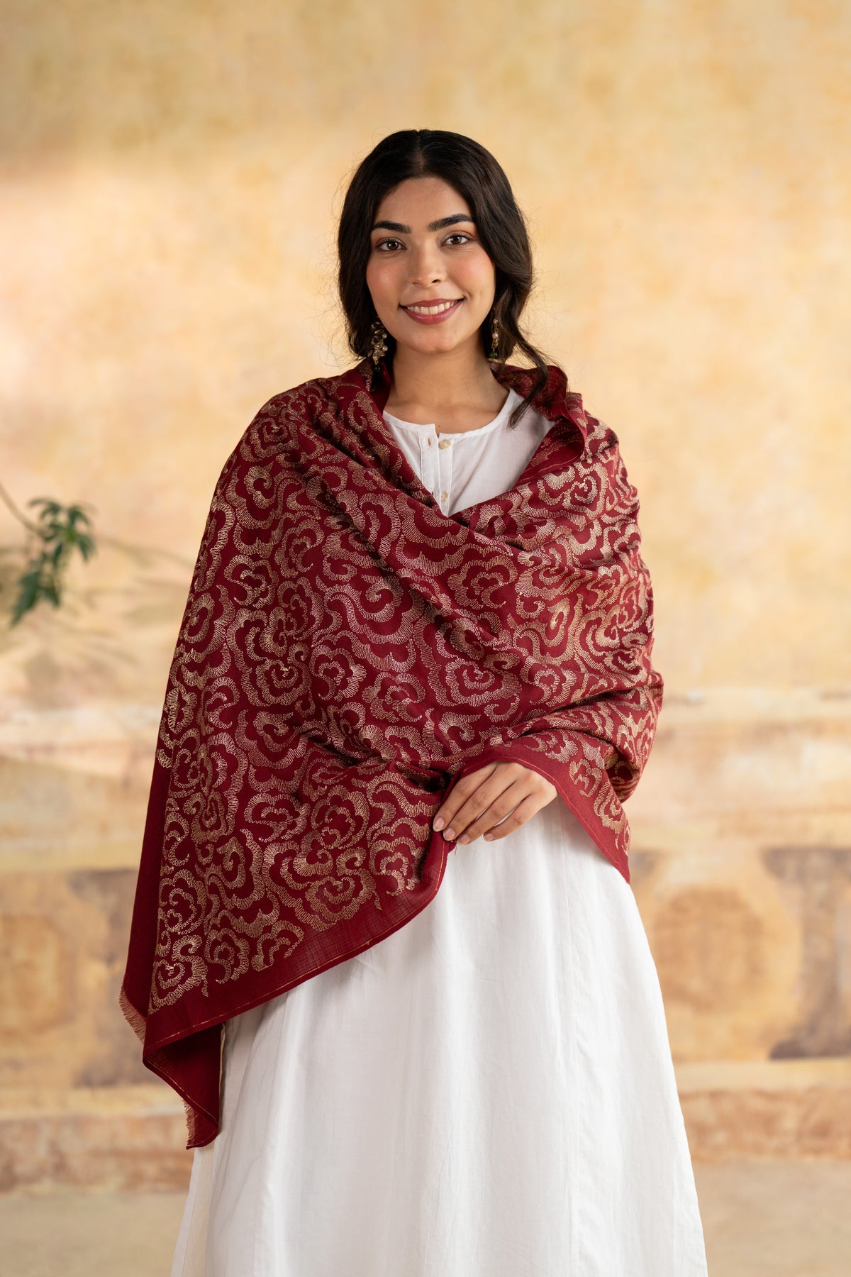Zari Cloud Embroidered Stole