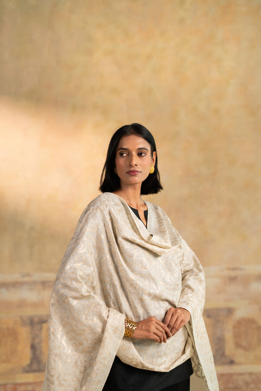 Zari Cloud Embroidered Stole