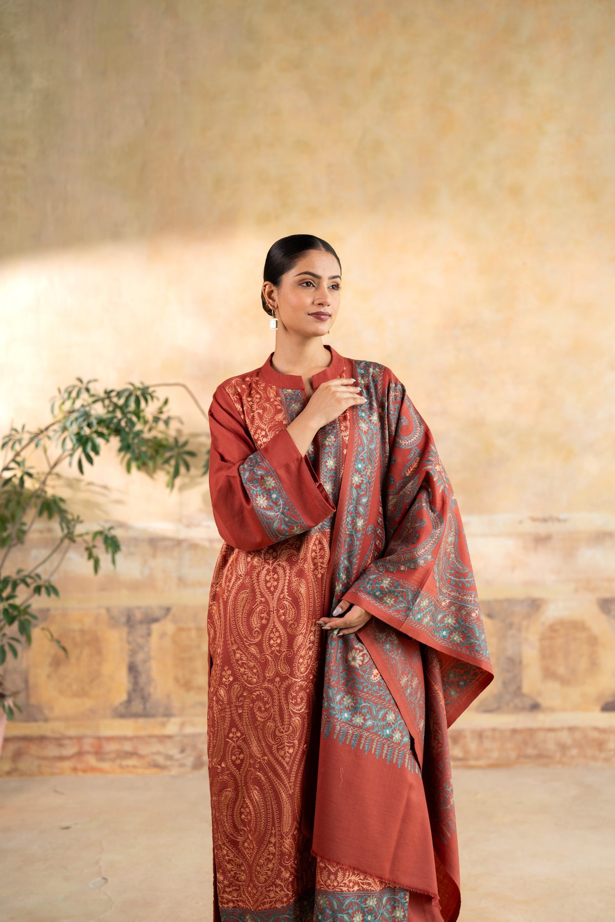 Contrast Dupatta Embroidered Suit
