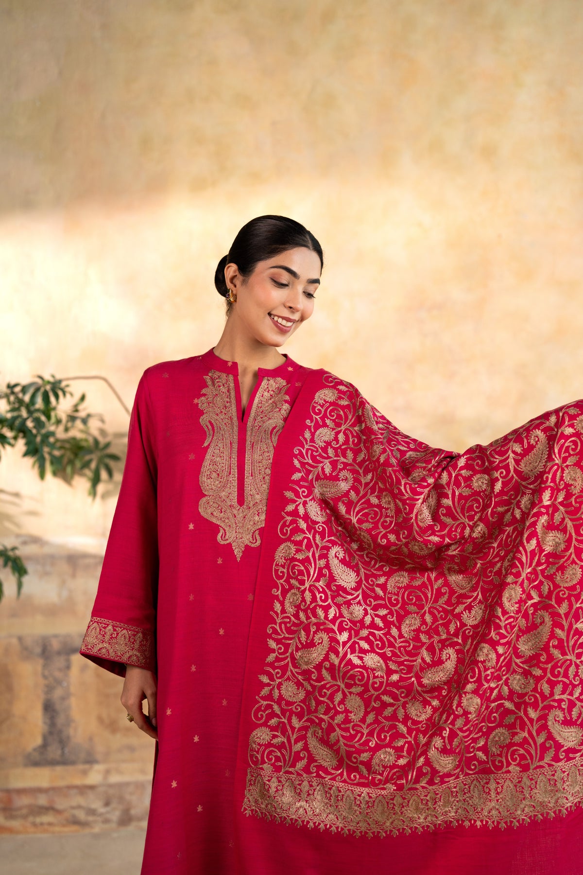 Zari Neckline Embroidered Suit