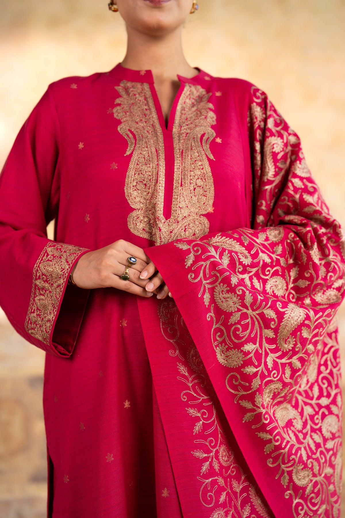 Zari Neckline Embroidered Suit
