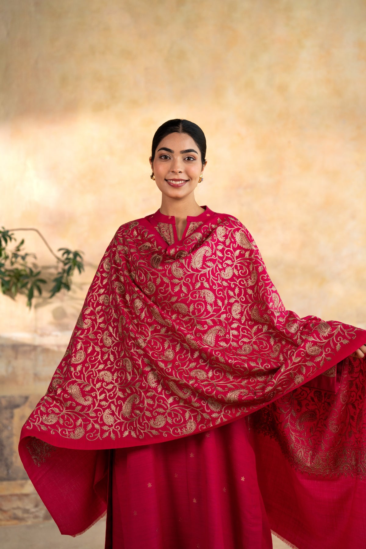 Zari Neckline Embroidered Suit