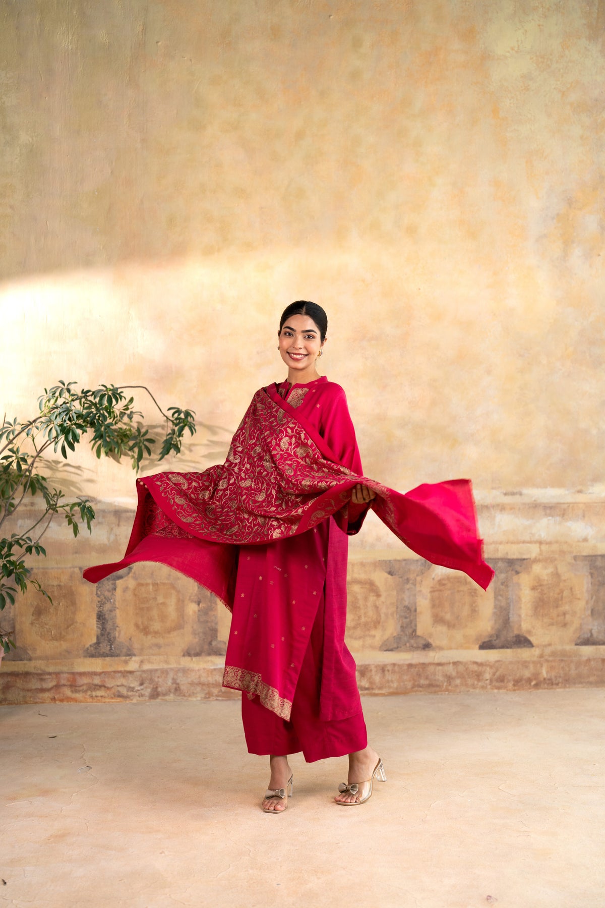 Zari Neckline Embroidered Suit