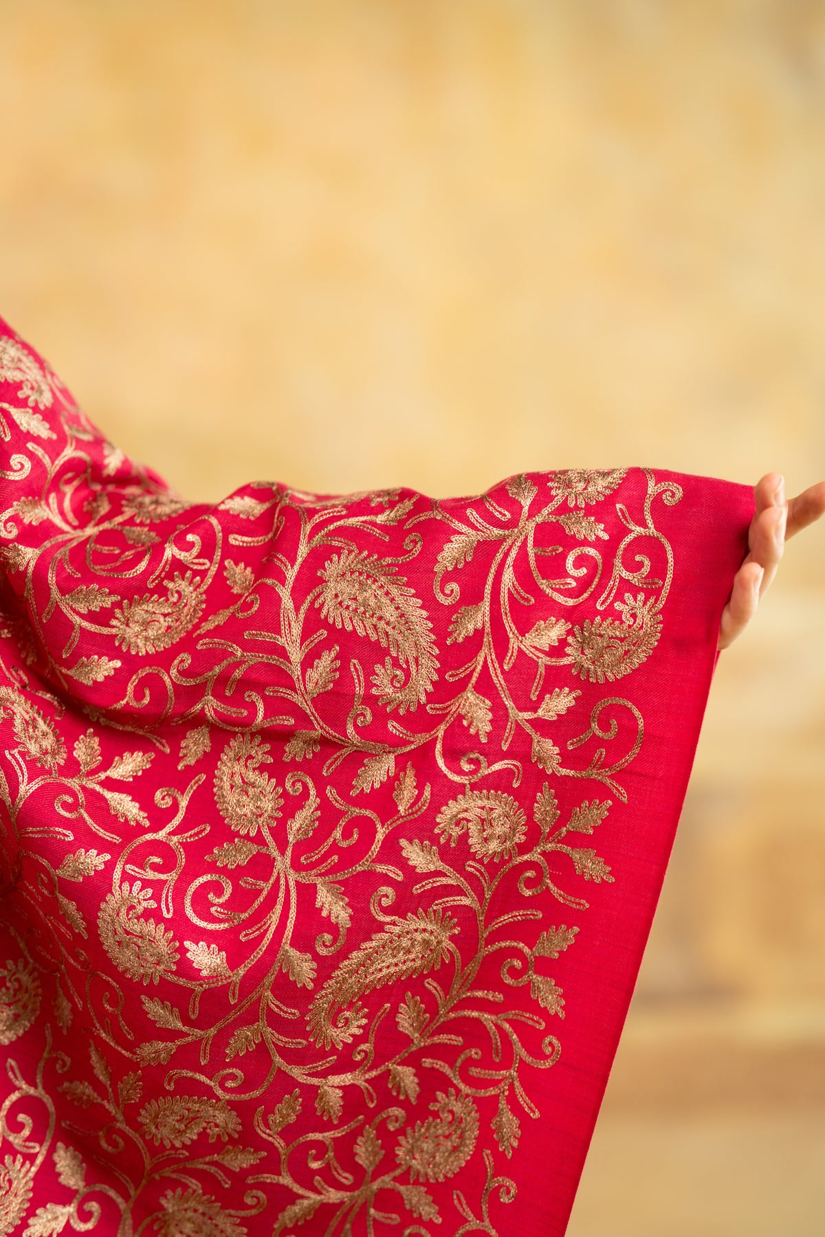 Zari Neckline Embroidered Suit