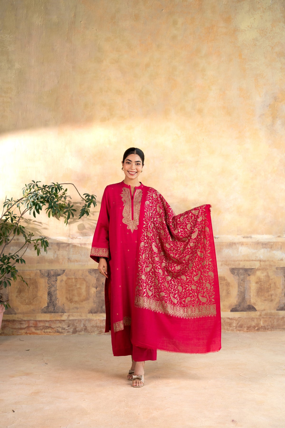 Zari Neckline Embroidered Suit