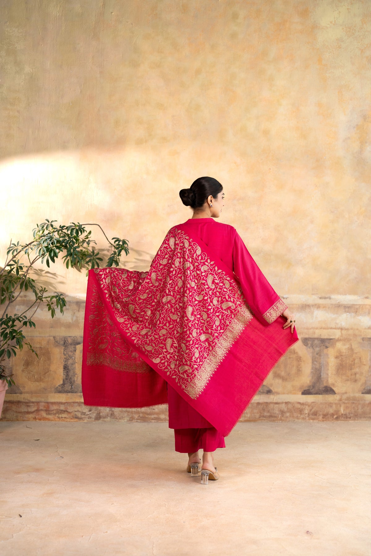 Zari Neckline Embroidered Suit