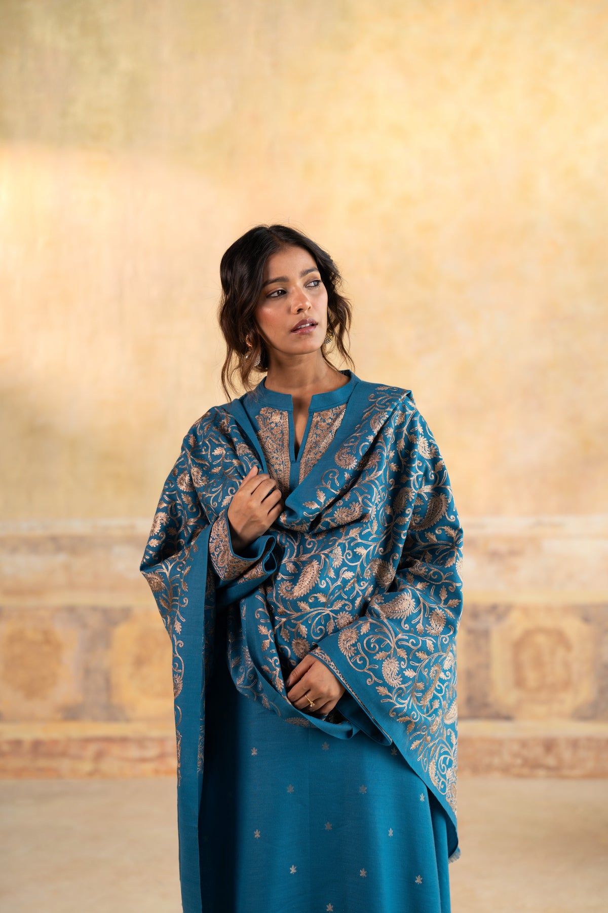 Zari Neckline Embroidered Suit