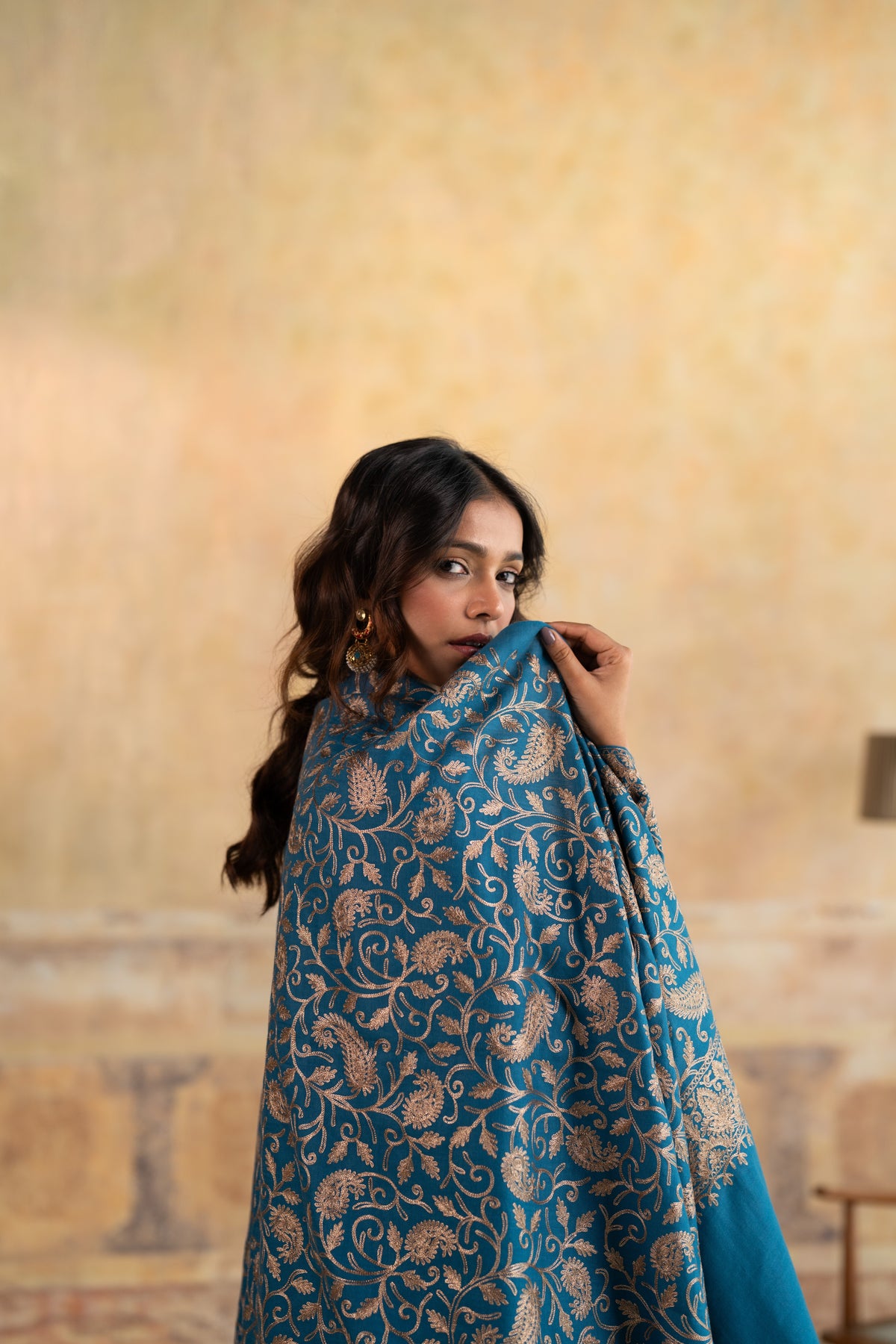 Zari Neckline Embroidered Suit