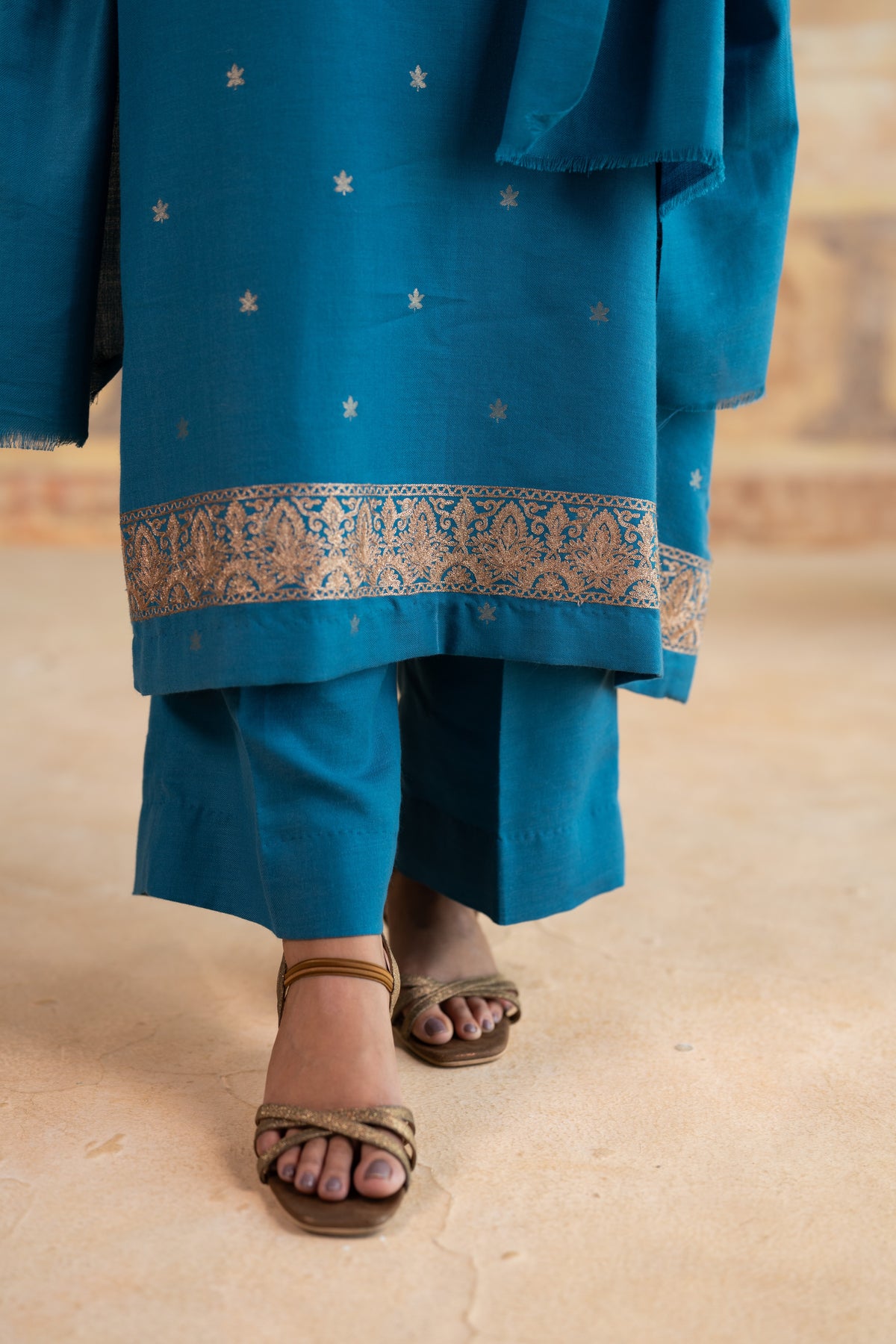 Zari Neckline Embroidered Suit