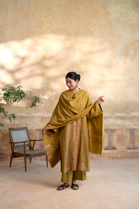 Kashmiri Lining Embroided Suit